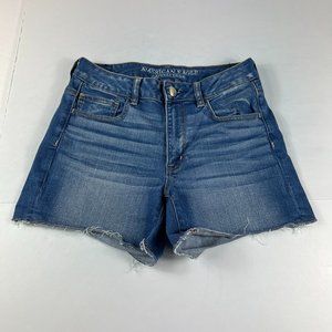 American Eagle Outfitters Blue Jean Shorts
